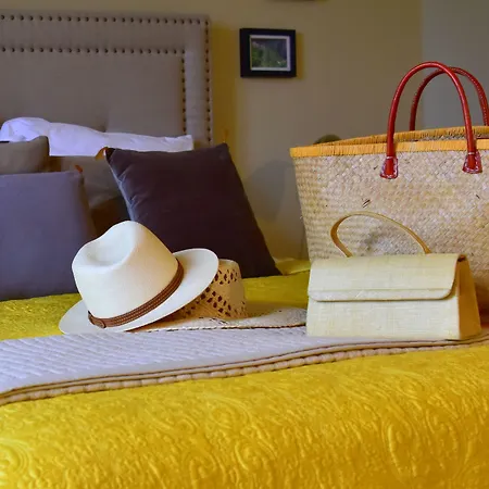 Domaine De La Partoucie 住宿加早餐酒店 4*